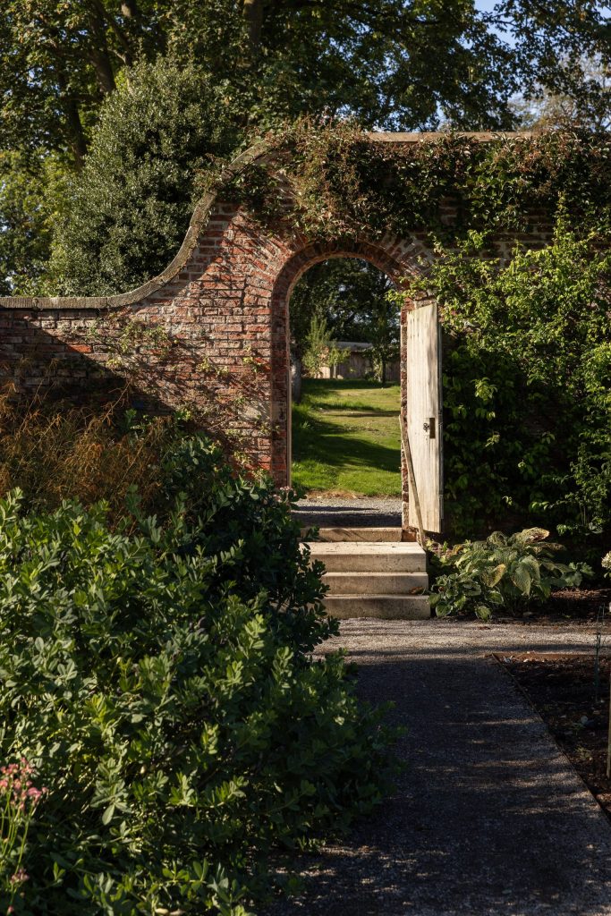 Autumn planting in the walled garden at Middleton Lodge Estate
